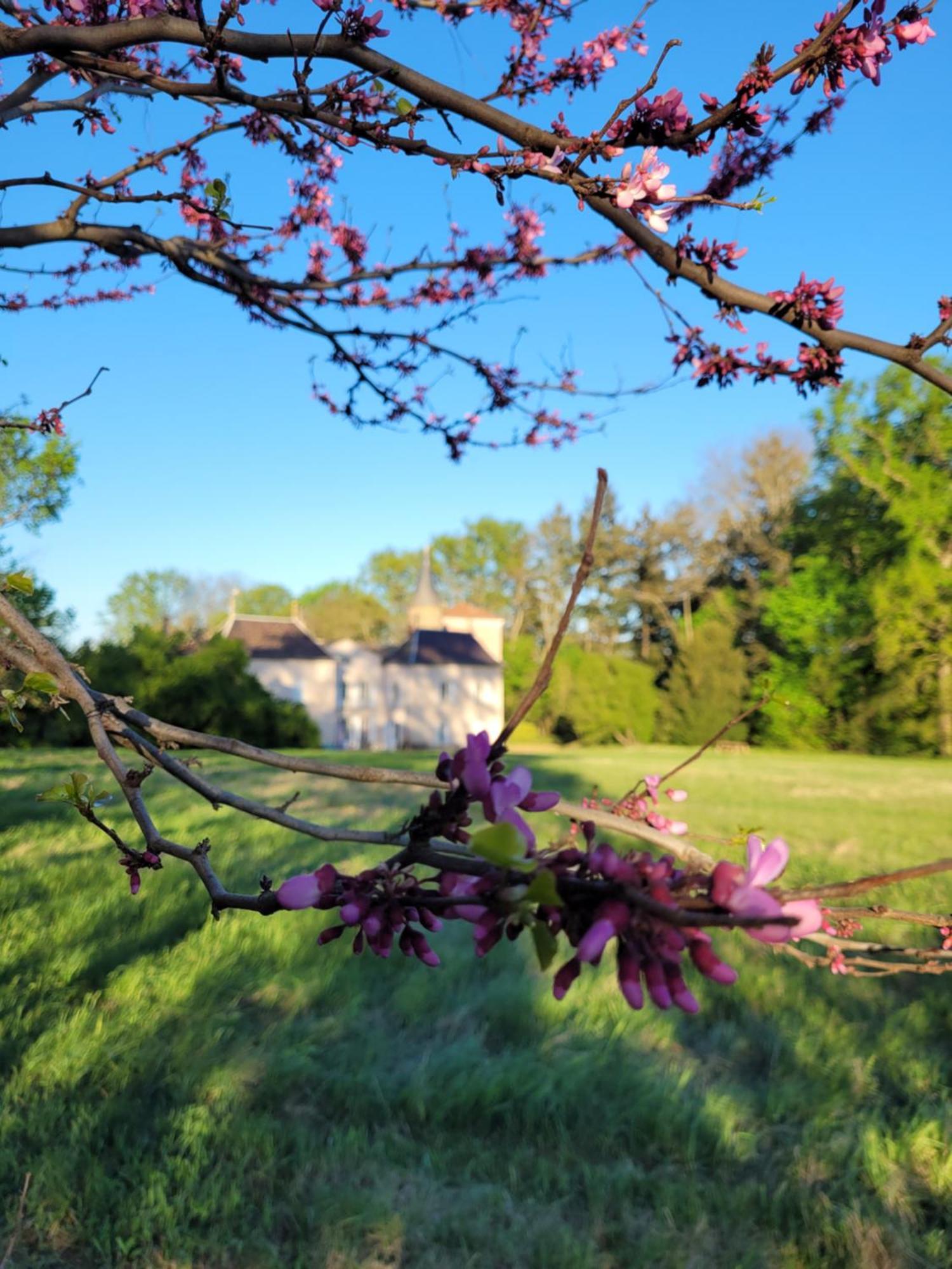 Bed and Breakfast L'Ancre Vive Charentay Екстер'єр фото