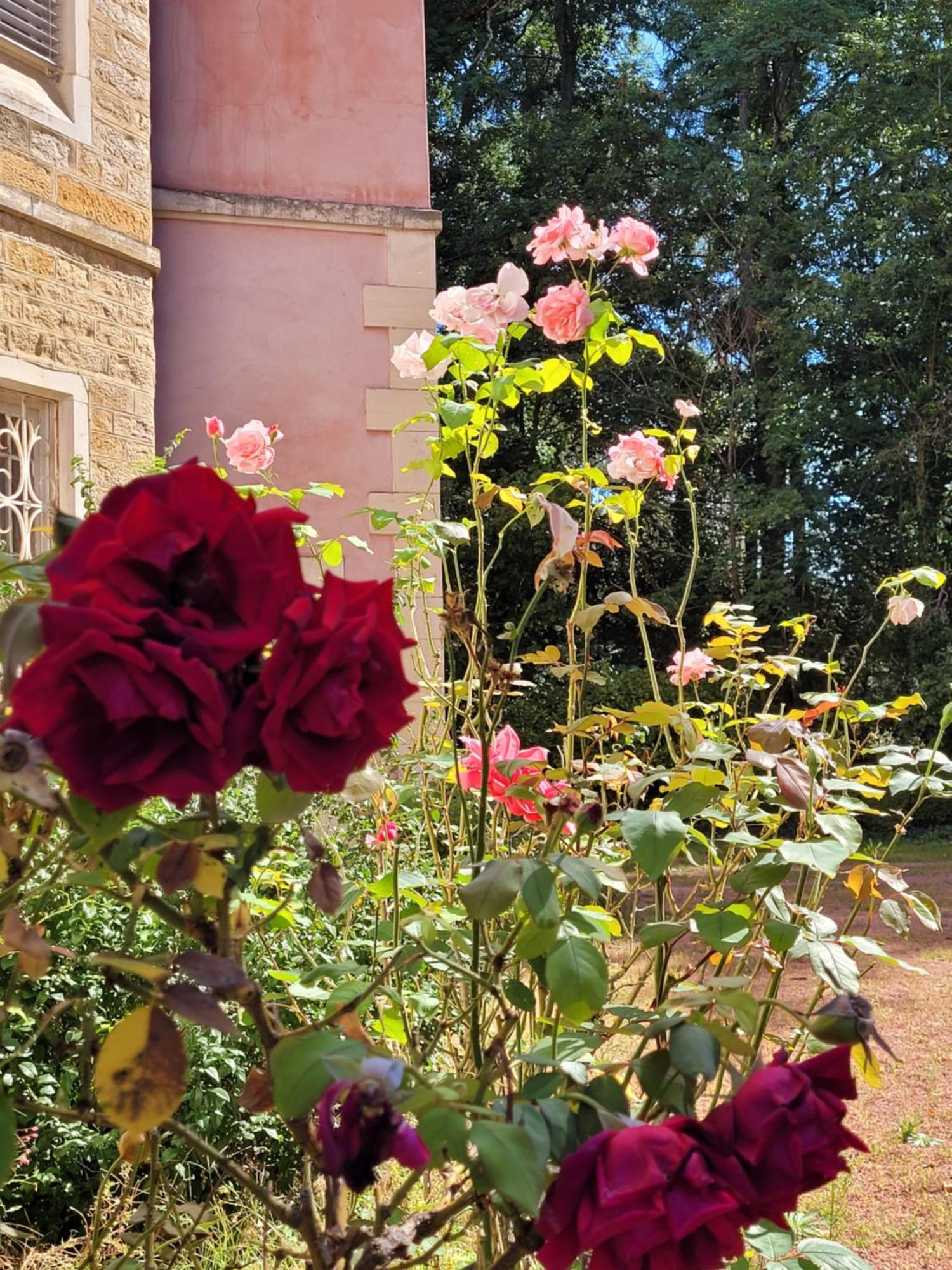 Bed and Breakfast L'Ancre Vive Charentay Екстер'єр фото